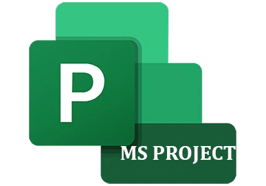 Ms Project